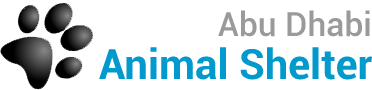 clients-logo